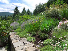 Highland Design Gardens Borders image 12